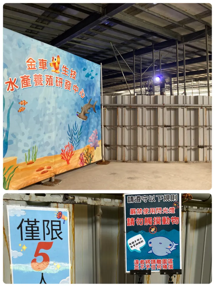 可以近距離看到鯊魚跟魟魚！