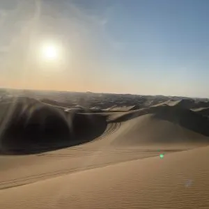 HuanChun Chen的沙龍