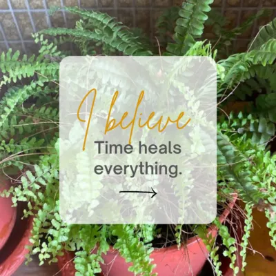 手機拍攝&Canva後製