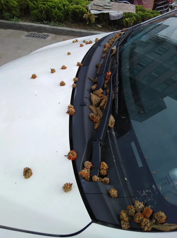 停在丰中名邸的小車