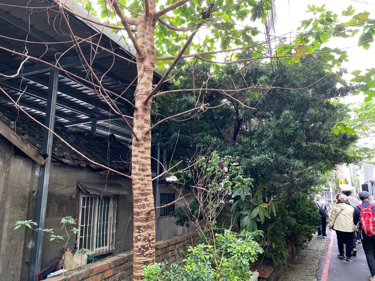 轉進中正路275巷