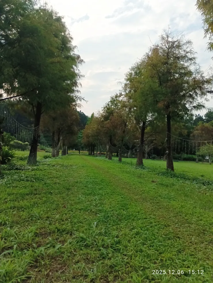 同場景，直面陽光拍攝