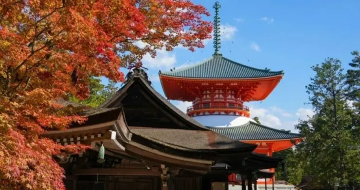 高野山根本大塔與前方紅葉交織的寺院屋簷