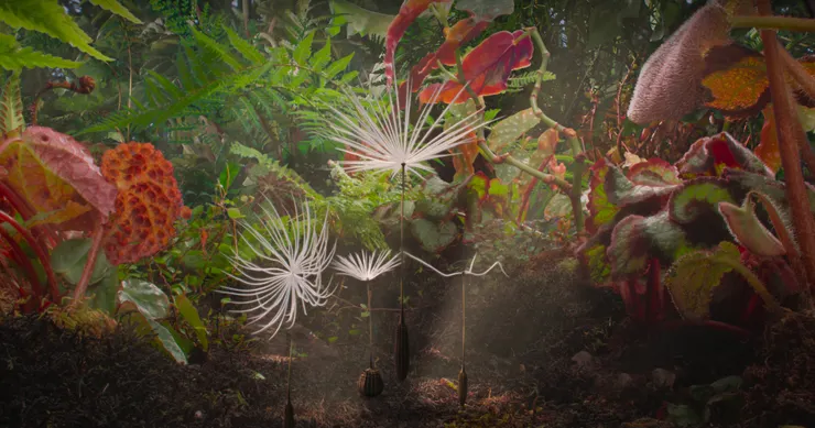 《Planètes》劇照／坎城影展 提供