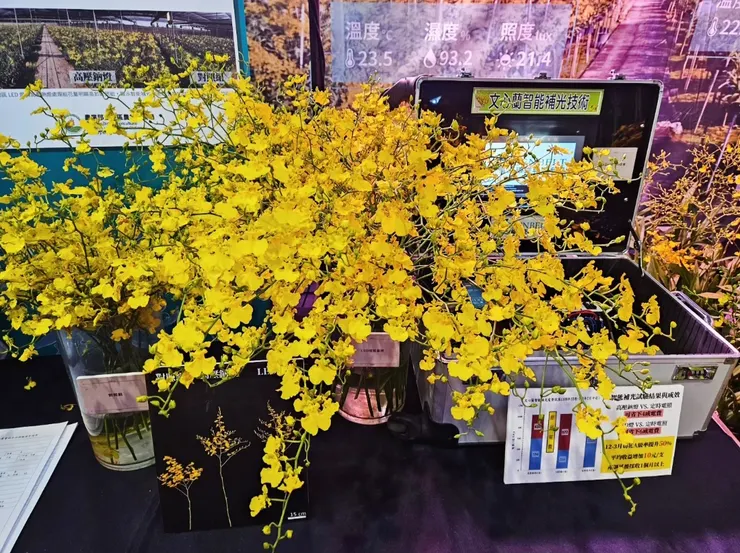 科普區:包含碳足跡、種植和育苗方法、砂石選擇等等......