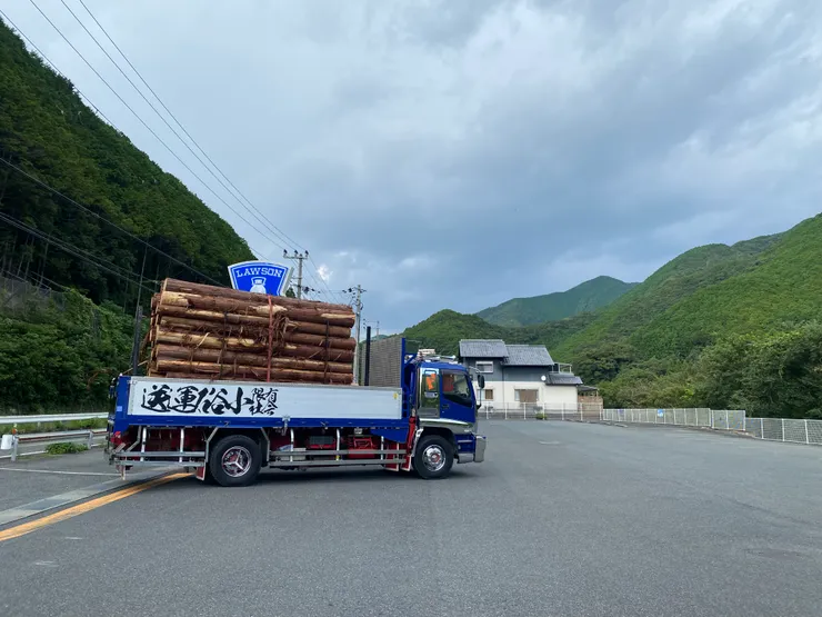 帥氣的運木材卡車