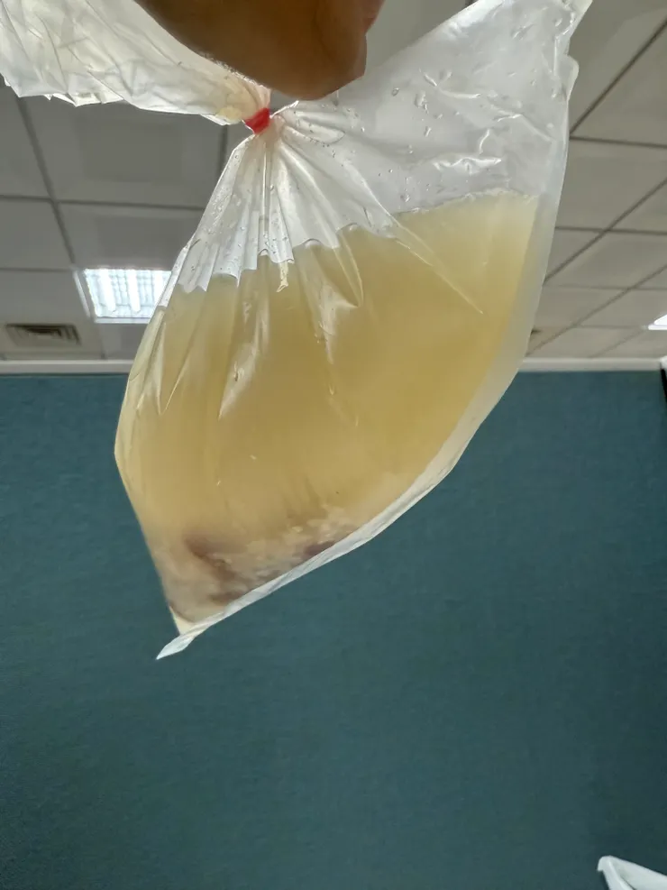 2026/02/09 下水湯