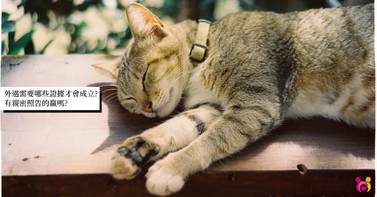 外遇需要哪些證據才成立?