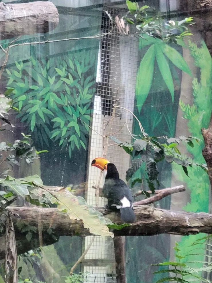 鳥哥們,賞點臉看一下鏡頭啊!