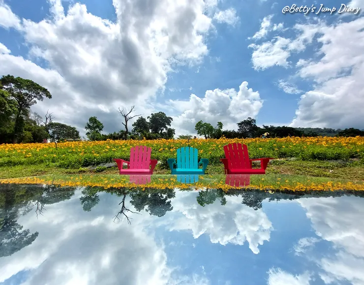 ▲2025花現台七「桃園繡球金針農遊趣」/ 圖片來源：Betty's Jump Diary