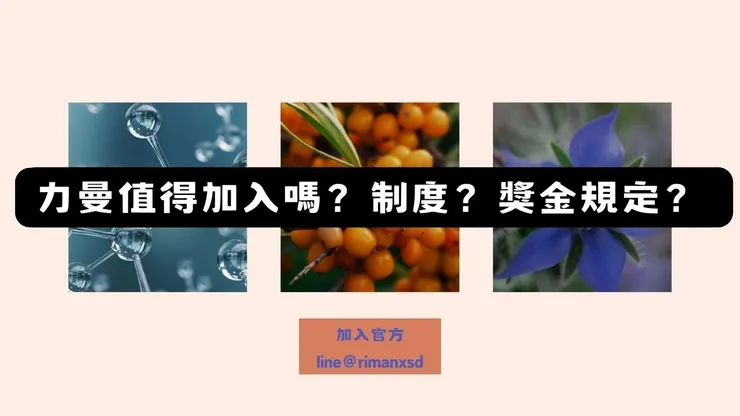 力曼沒有說的制度 獎金規定