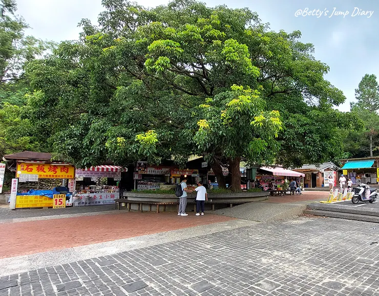 ▲苗栗三義-舊山線鐵道自行車C路線,龍騰站/圖片來源:Betty's Jump Diary