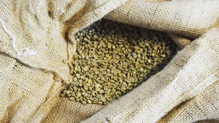 世界每個地方所產出的咖啡豆都有其特殊風味