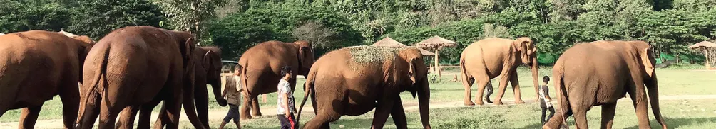 山風 Estrella Calls的沙龍