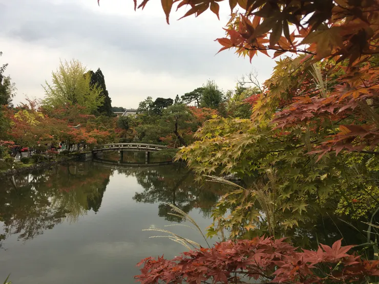 放生池和極樂橋是拍攝景點之一（作者拍攝）