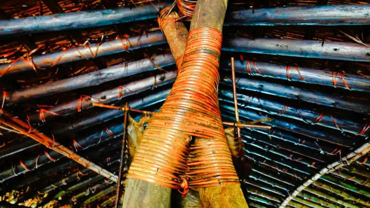 利用黃藤固定家屋結構