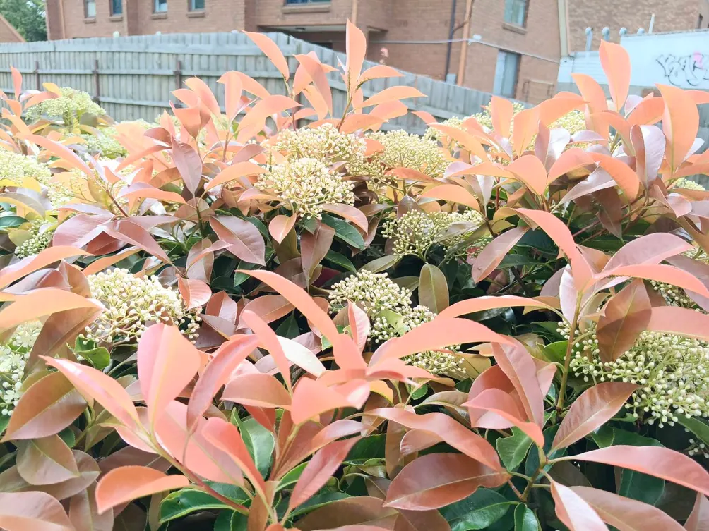 李蔚的澄心與敘事空間