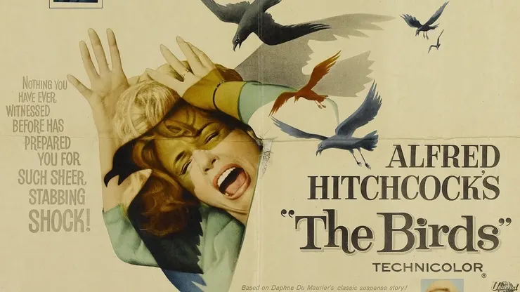 希區考克電影【鳥】