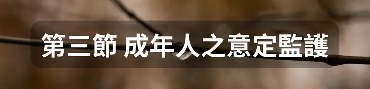 第三節 成年人之意定監護