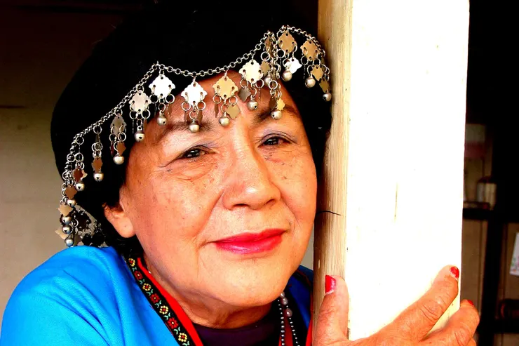 傳奇女伶高菊花