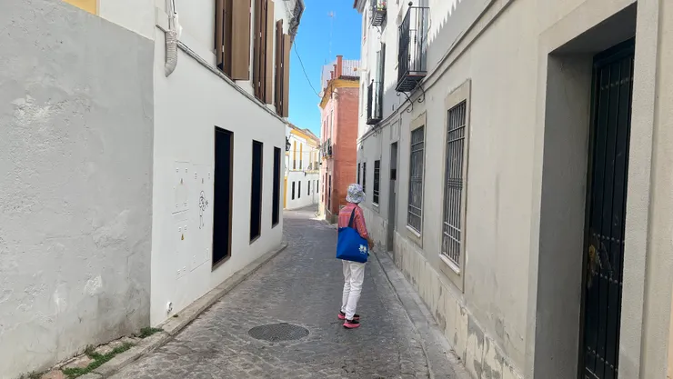 在老城區的住宅區秀著馬糞味前行