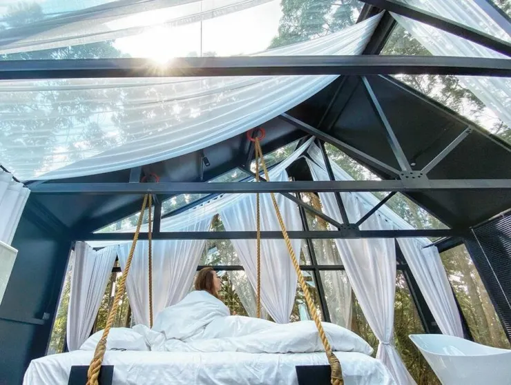 玻璃屋 瘋之谷 cuckoozen forest