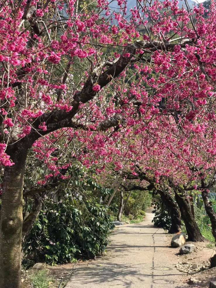 避開人潮,走進小路