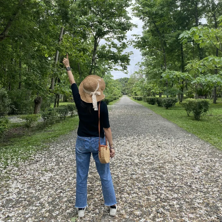 【福容花蓮店】4-5月南華林業園區桐花滿開