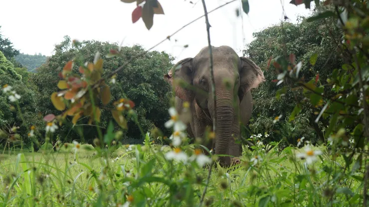 感謝司機兼攝影師幫拍美美的照片