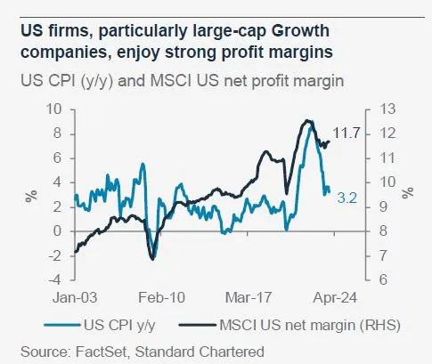 美國大企業的利潤率強勁