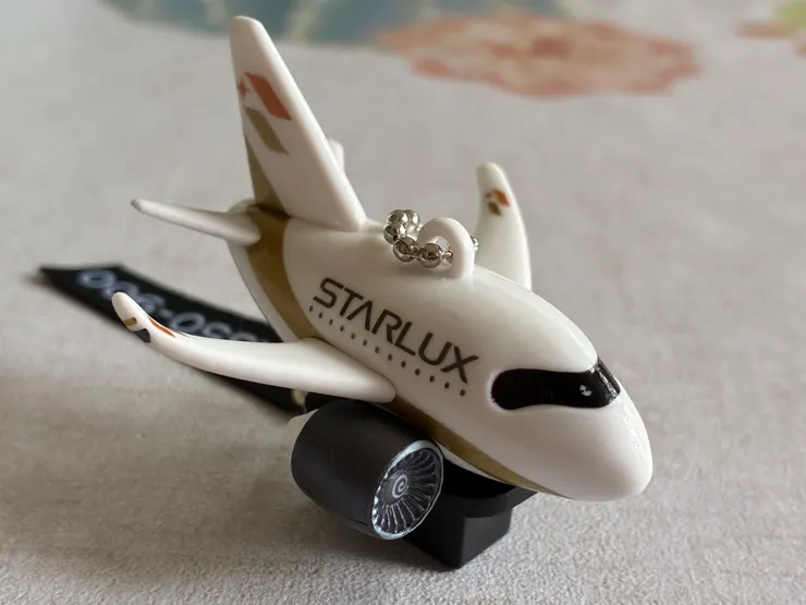 下次要帶它坐星宇航空！