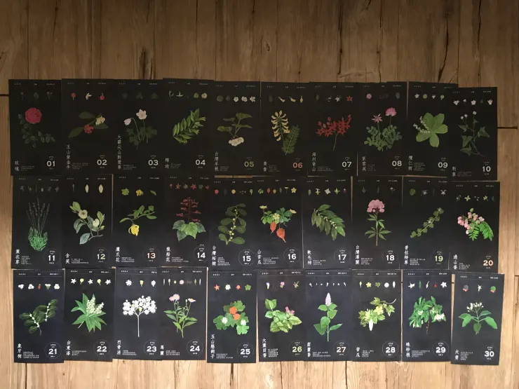 6月的花跟天氣一樣，開始出現鮮紅色調。