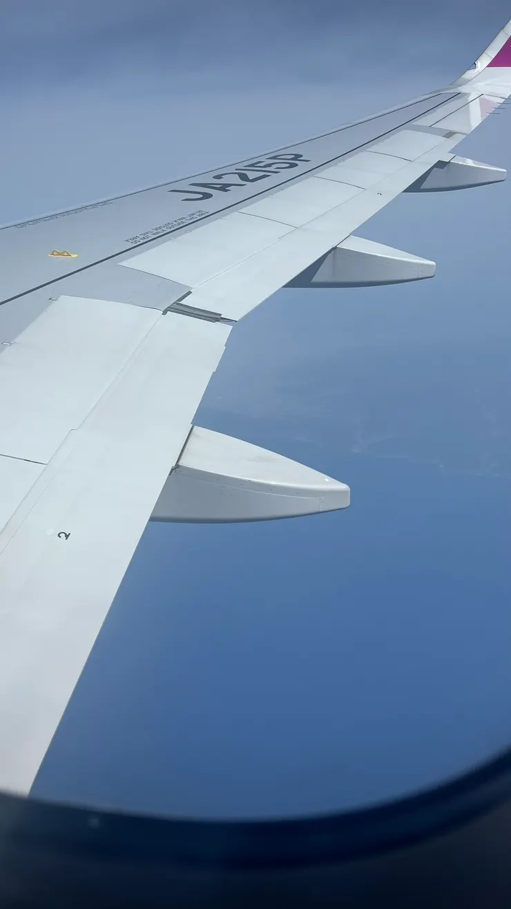 A320-251Ｎ為樂桃新一代主力。