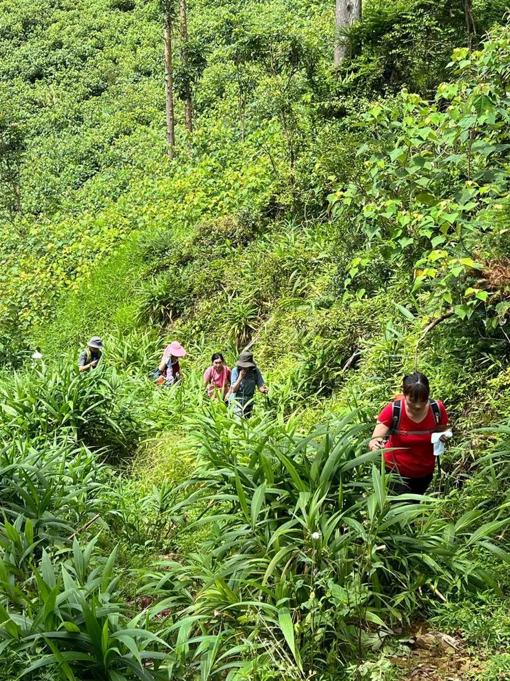 篳路藍縷