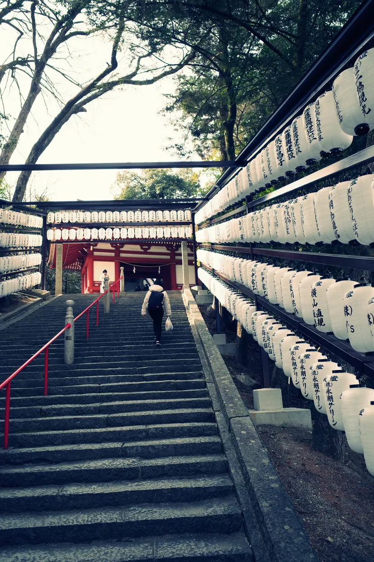 階梯兩旁的燈籠挺有氣勢的