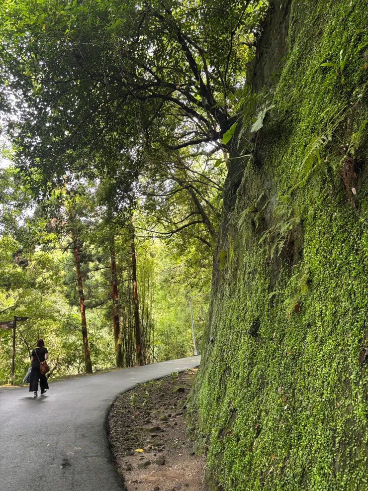 她走進森林，也走進苔蘚細語的世界。
