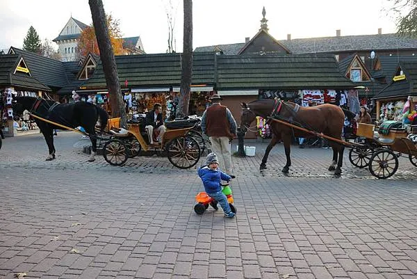 Zakopane最熱鬧的Krupowki大街上依舊很多馬車在等遊客搭乘
