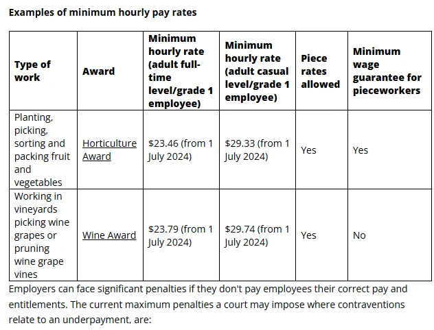 Examples of minimum hourly pay rates