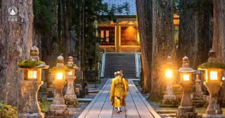 高野山奧之院參道,僧侶沿石燈籠步道靜靜前行