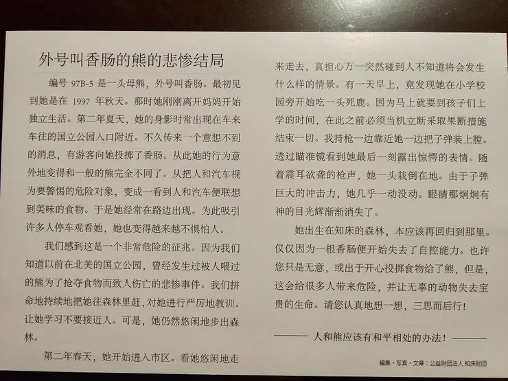 揪心的棕熊"香腸"的命運