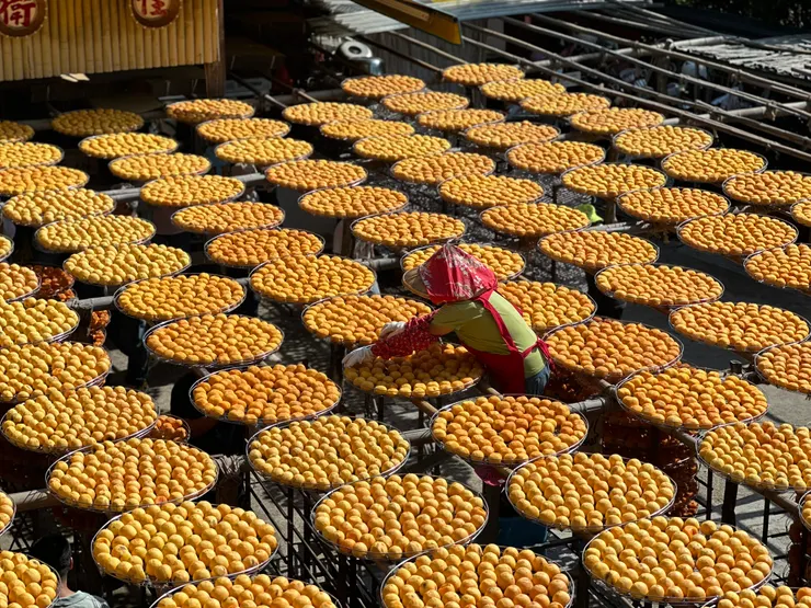 今年拍的曬柿美照，當天還有柿子阿嬤出來當模特兒＠味衛佳柿餅教育農園