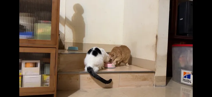 貝里：這我的！