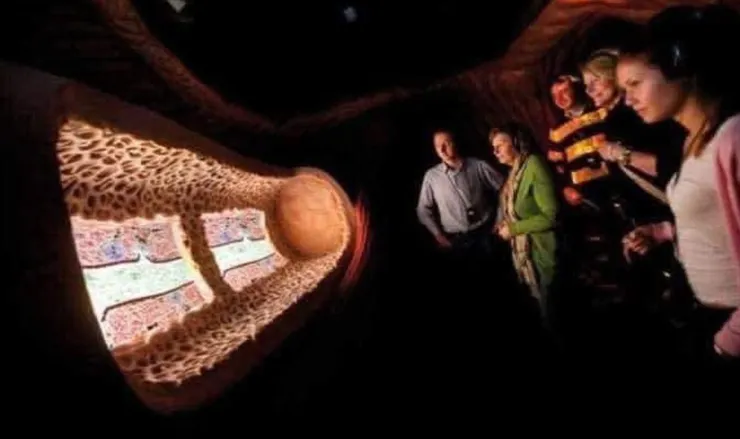 圖片來源:Facebook: Did you know World 粉絲頁