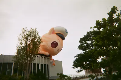 底片｜不同時期的我們🎞️（下）