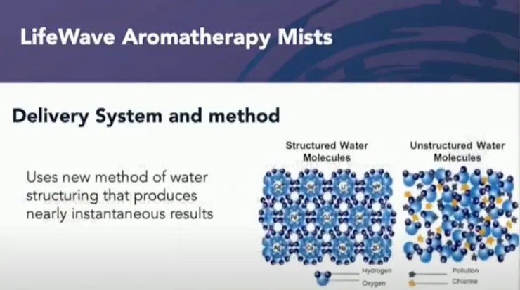 排列整齊的水分子讓營養更有效率地進入細胞