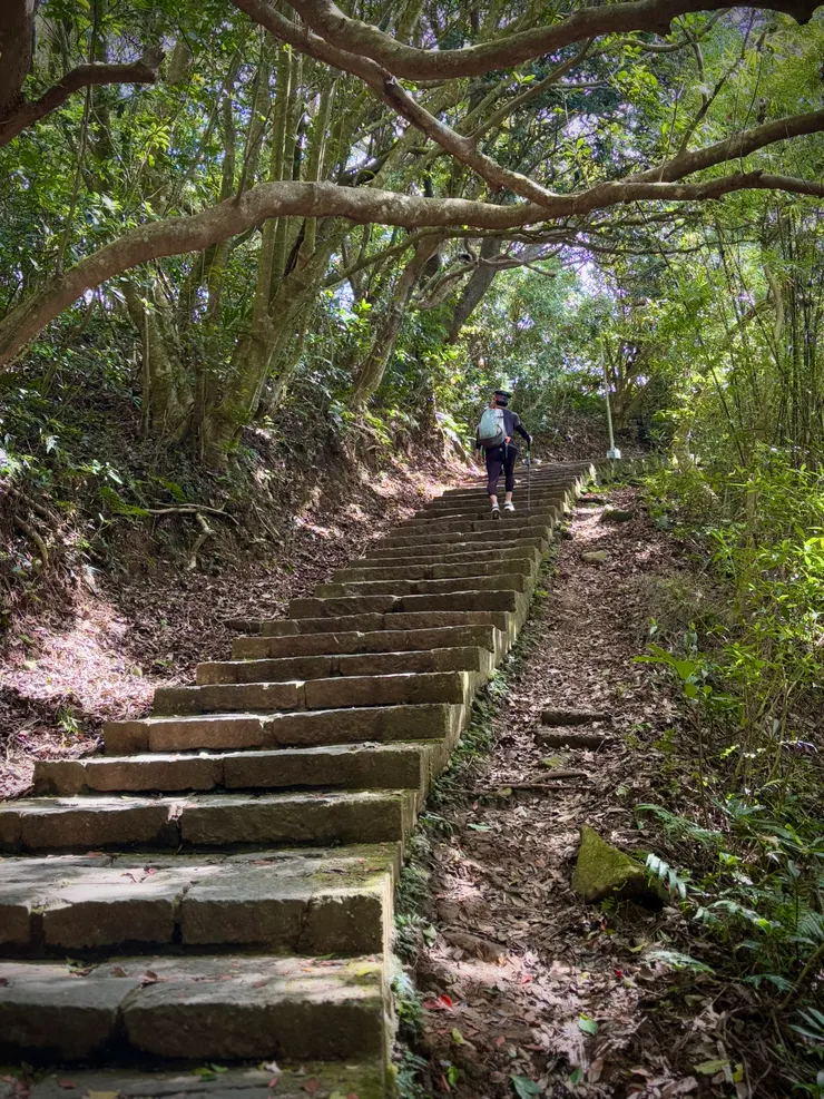 過了雙亭後，再一段階梯就到了硬漢嶺