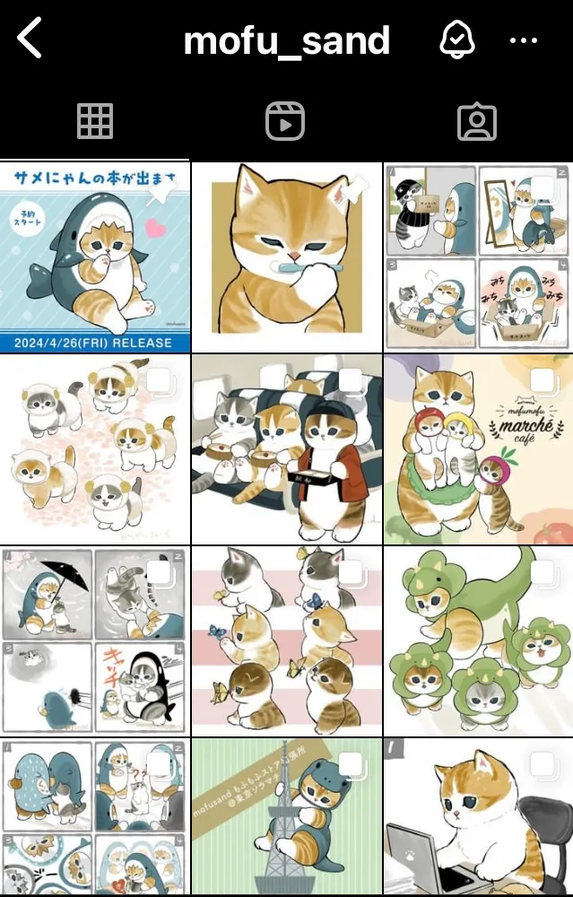 不同的貓咪變裝好有趣！