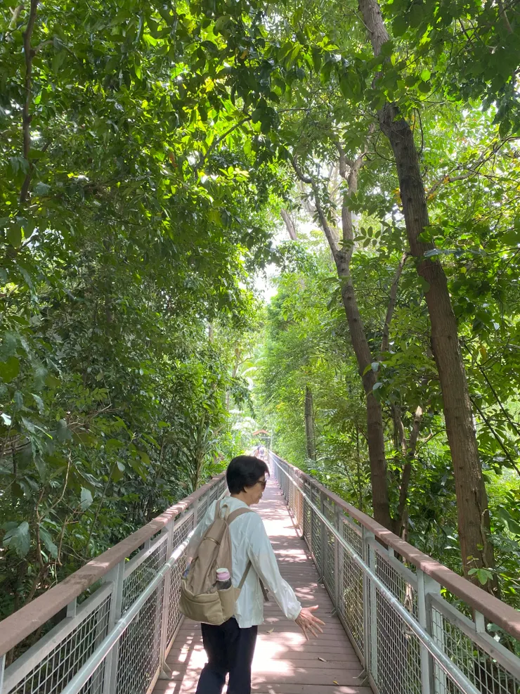 聖淘沙的Nature Discovery