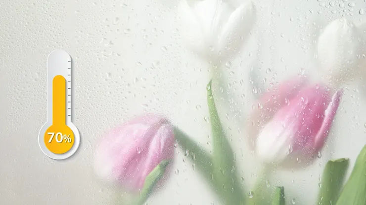 不要讓爆表的濕度帶走了活力