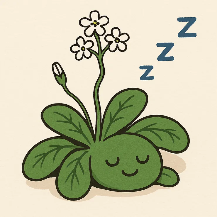 圖片作者：ChatGPT